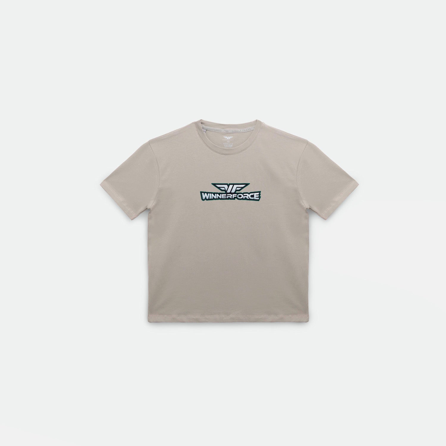 a t-shirt agate grey with logo 