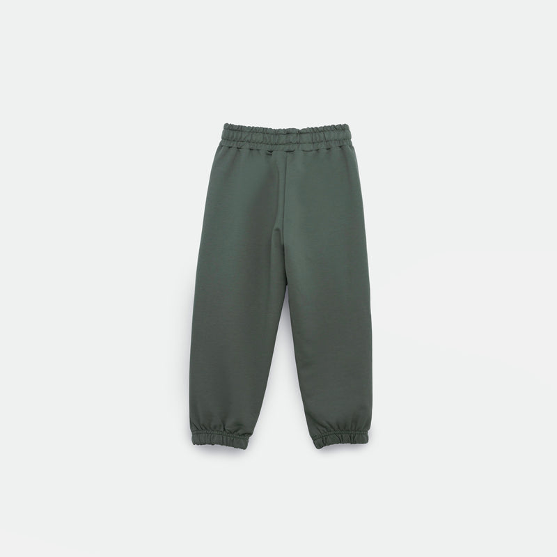 a back view for jogger pants agave green 