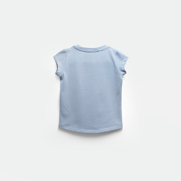 a back view for t-shirt angle blue 