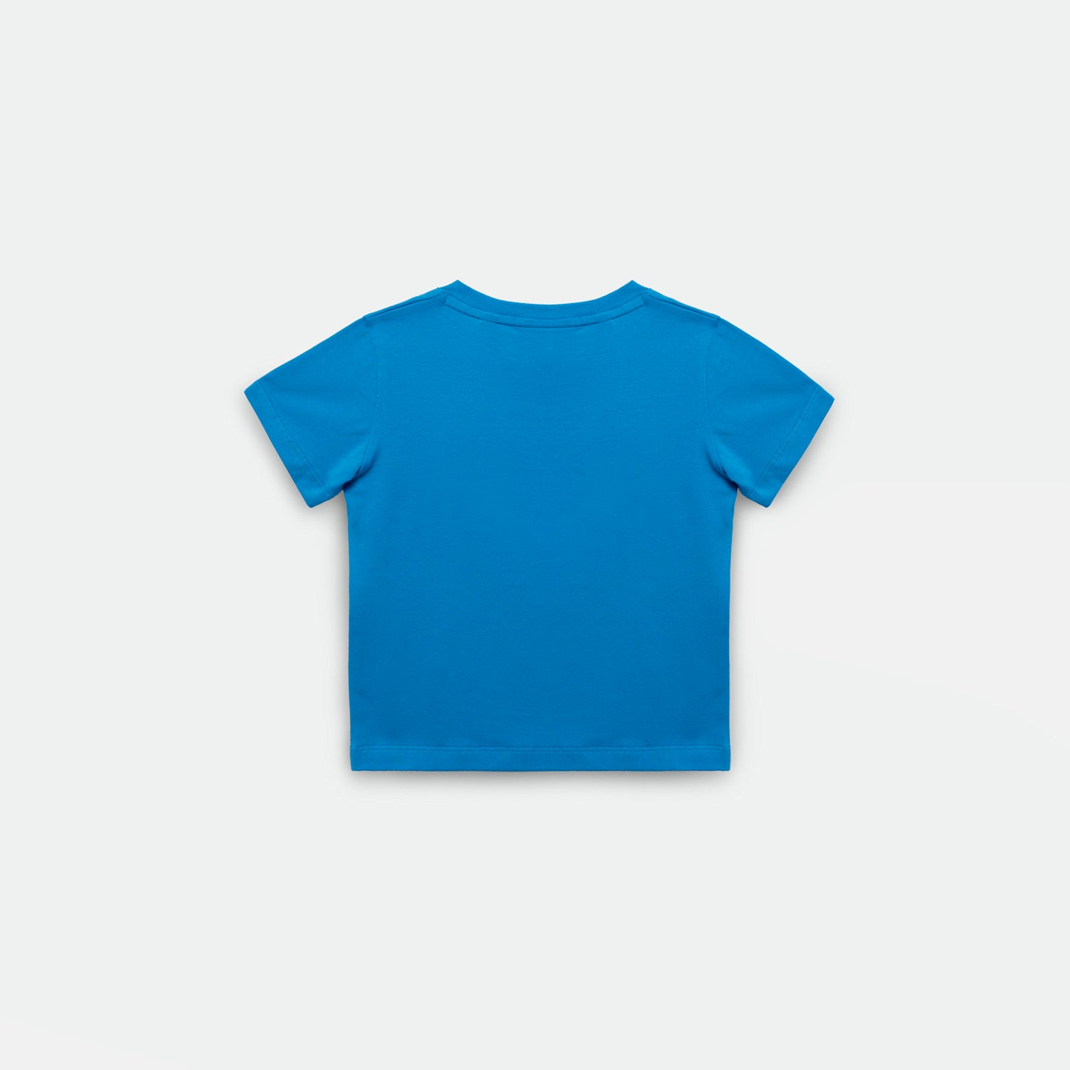 back view for t-shirt blue 