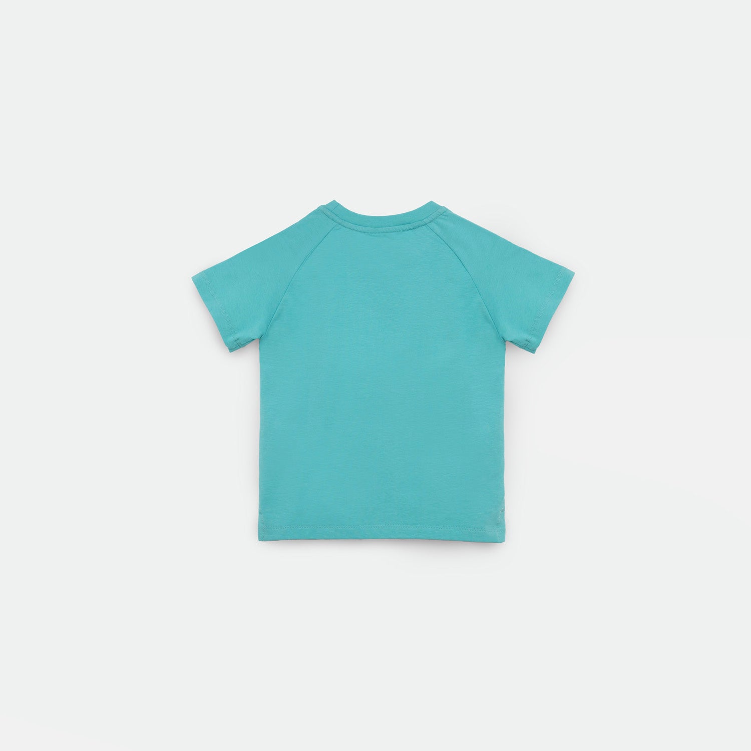 a back view for t-shirt blue 