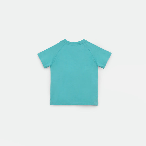 a back view for t-shirt blue 