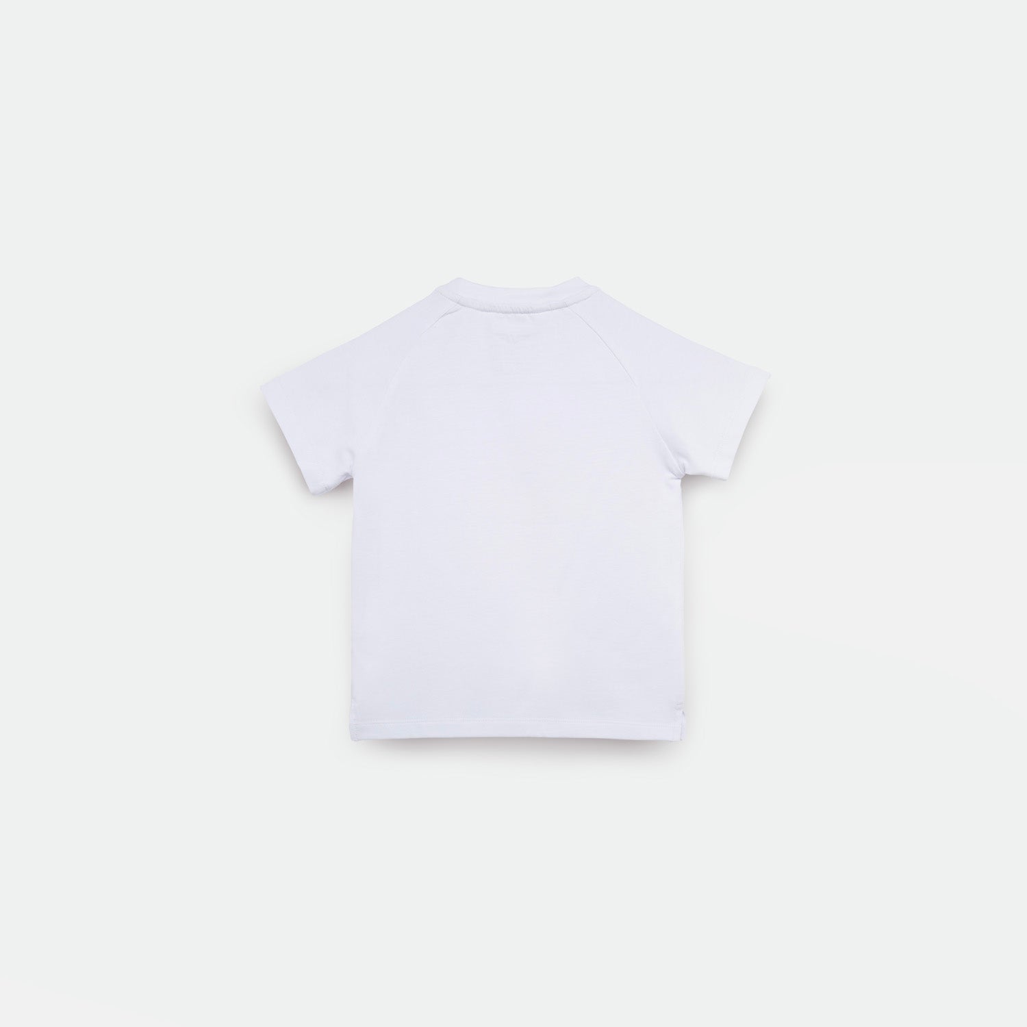 a back view  for t-shirt white 