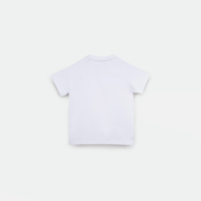 a back view  for t-shirt white 